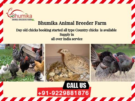 Bhumika Animal Breeder Farm